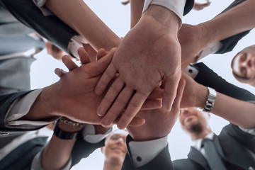 bottom view.the business team shows its unity