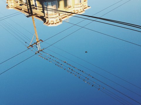 Birds Perching On Power Line