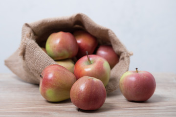 Cloth bag with apples. Burlap sack with rustic apples.