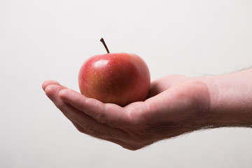  Male hand takes apples