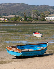 Fishing dinghy beached by the tide on Knysna lagoon