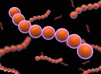 Cpcci Shape of bacteria.