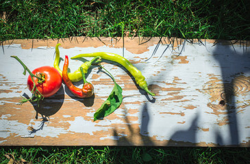 Vegetables, tomatoes and peppers in nature