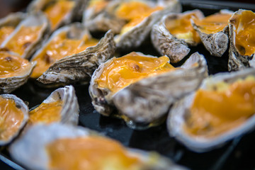 Oysters in a pan in a creamy sauce and cheese. Against a table background