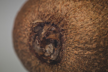 Brown hairy skin of a kiwi fruit. Macro or close up photo of kiwi skin on a white background. Detail photo of hairy kiwi skin.