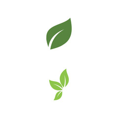 Green garden green leaf Logo Template