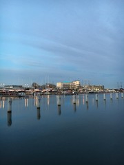 Naklejka premium night view of san francisco bay