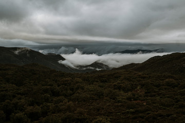 Mountains