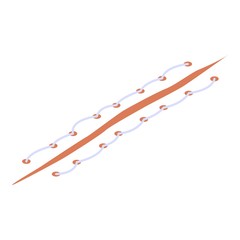 Laceration suture icon. Isometric of laceration suture vector icon for web design isolated on white background