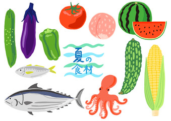 夏の食材　野菜と果物と魚　セット
