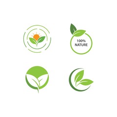 Green leaf logo