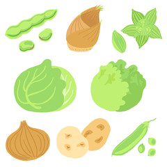 春野菜のセット