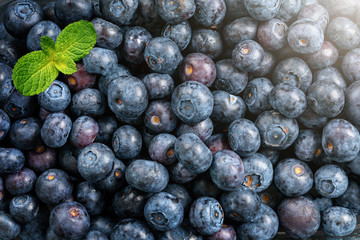 Nahaufnahme von frischen, saftigen Blaubeeren mit Blatt als Hintergrund oder Textur