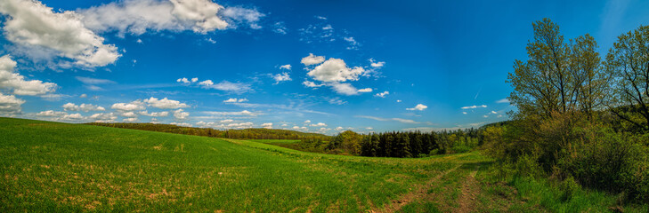 Fototapeta na wymiar curvy fields and meadows with forests in distance, blue sky with white clouds