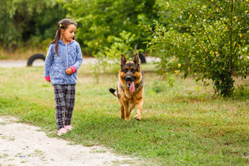little girl trains a German shepherd