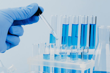scientific laboratory equipment. hands of a scientific researcher in blue gloves