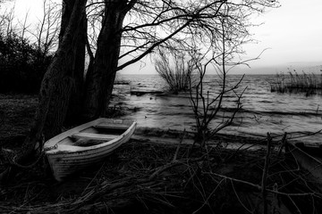 An empty little boat in Trasimeno lake (Umbria, Italy) at dusk, near a skeletal tree creating beautiful texture with its branches