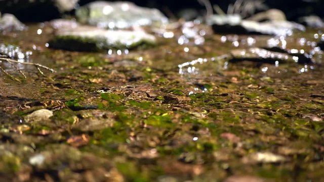 golden water runs over stones in a small stream