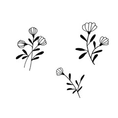 Silhouette of vector flowers on a white background. Flower plant lineart illustration.