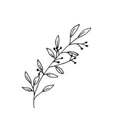 Fototapeta na wymiar Foliage silhouette on a white background, vector botanical set. For wedding design, greeting card, banner and logo.