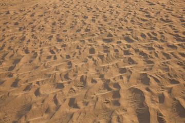 ripples in the sand