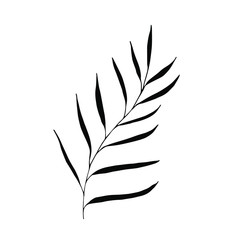 Foliage silhouette on a white background, vector botanical set.
For wedding design, greeting card, banner and logo.