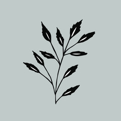 
Silhouette of foliage curly on a gray background, hand-drawn by a liner, graphic illustration of flora