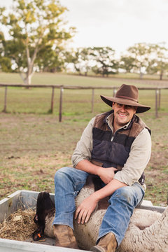 farmer riding with injured ewe in trailer