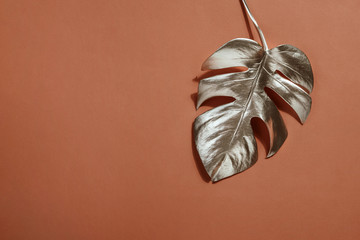 Shiny silver leaf monstera on terracotta background. Trendy design. Pastel Minimalism. Copy space