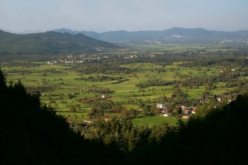 landscape with green fields
