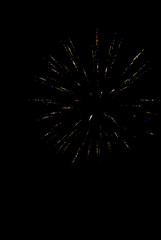 Colorful fireworks on the black sky background.