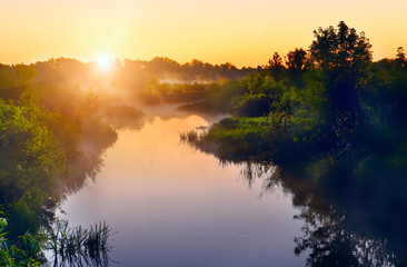 Fototapeta na wymiar River in the early morning at dawn. Delicate dawn sky and fog rising above the water, lush greenery on the banks. Summer spring wild landscape by the river. Selective soft focus.