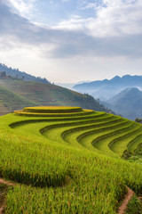 Fototapeta na wymiar Green terrace rice field at Mu Cang Chai