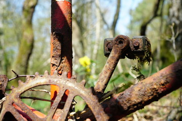 Rostiges Fahrrad im Wald 