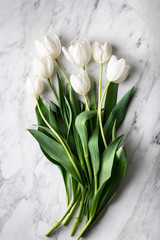bouquet of white tulips on marble background, view from above