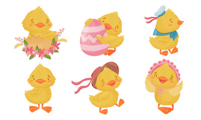 Yellow Chicken Holding Egg and Sitting in Flower Nest Isolated on White Background Vector Set