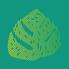monstera palm leaf filled with fingerprint pattern- vector illustration