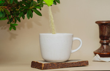 Green dry matcha tea is poured into a white concrete mug on a natural stone stand. A bright place for tea with a home-grown green plant.