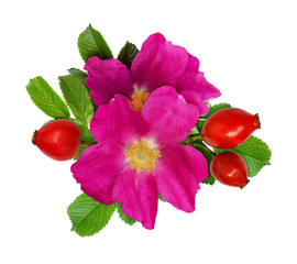 Wild rose flowers and berries arrangement
