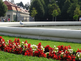 Belvedere garden