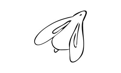 cute Easter Bunny. the view from the top. print on clothing