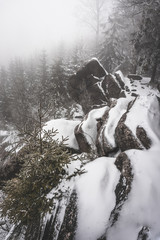 snow covered rocks in winter forest