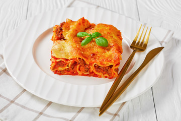 Meat cannelloni with tomato sauce and mozzarella