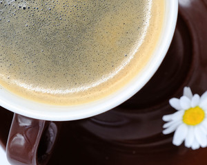 Coffee cup and white common daisy on table
