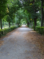 path in the park