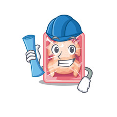 Cartoon character of frozen chicken brainy Architect with blue prints and blue helmet