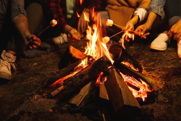Group of friends holding marshmallow in fire outdoors.