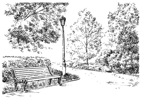 Learn How to Draw Yoyogi Park Parks Step by Step  Drawing Tutorials