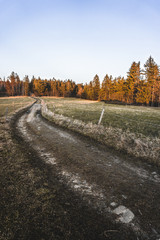 autumn landscape with road at goldden hour