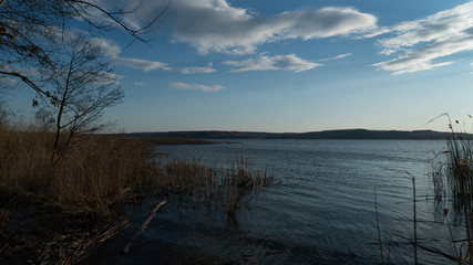 spring nature trees blooming flowers pine lake Russia middle lane water reservoir gardens sky clouds